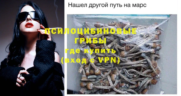индика Балабаново
