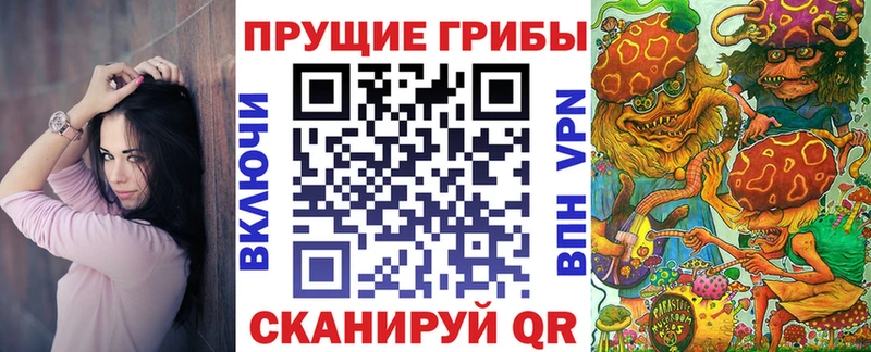 Галлюциногенные грибы Psilocybine cubensis Буй
